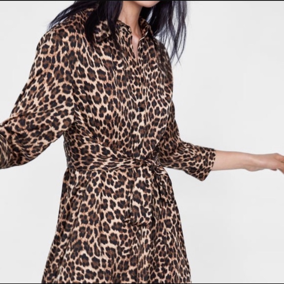 Zara Animal Print Dress - Picture 4 of 8